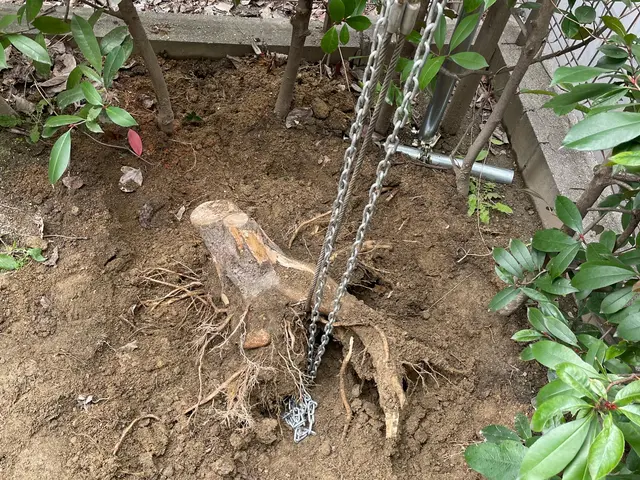 ◆名古屋市発◆年中無休◎女性スタッフ同行可能◎アフターフォローもばっちり！サービスの画像