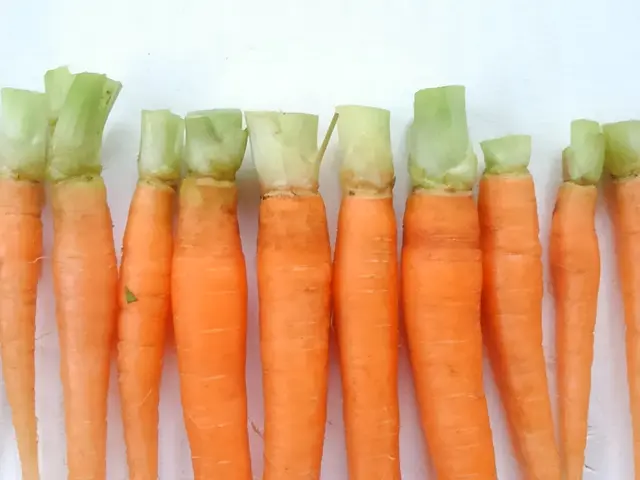 《写真人生50年・建築　商品　料理》外注ナシ！卓越したフォトマインドでご対応！