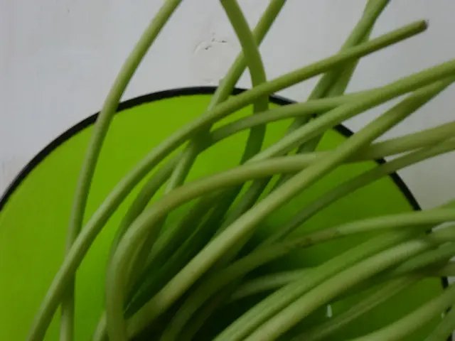 《写真人生50年・建築　商品　料理》外注ナシ！卓越したフォトマインドでご対応！