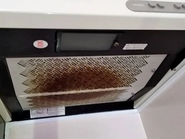 匂いも汚れもスッキリ！オプションにてコーティング承ります！女性スタッフ同行OK！サービスの画像