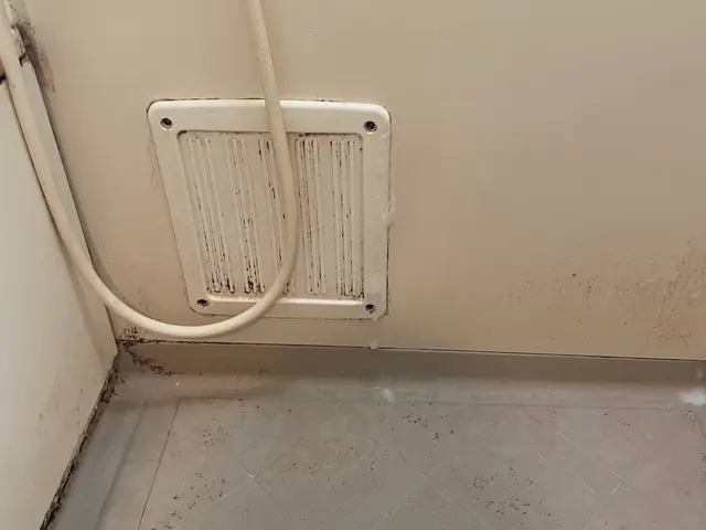 【女性スタッフ活躍中◎】安心の損害保険加入店！大手の業務経験も豊富です！サービスの画像