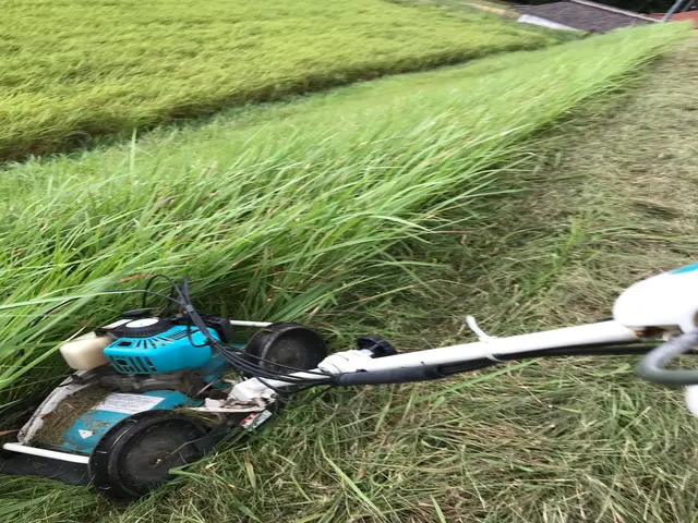 【16年の経験実績】豊富な知識で安心！サービスの画像