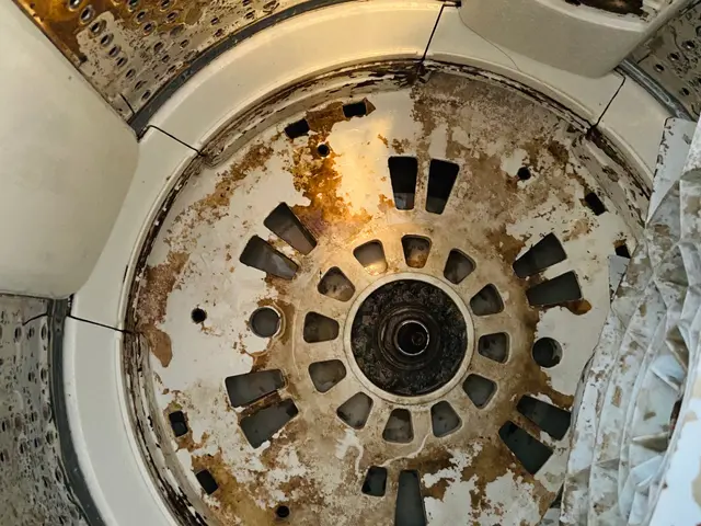 カビや汚れ,内部蓄積した糸くずを解消★岐阜市発　電気工事士　損害保険加入済サービスの画像