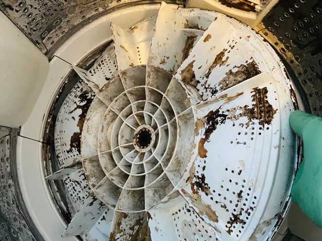 カビや汚れ,内部蓄積した糸くずを解消★岐阜市発　電気工事士　損害保険加入済サービスの画像