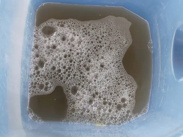 6月エアコンクリーニングの予約のお客様は防カビコートサービス。サービスの画像