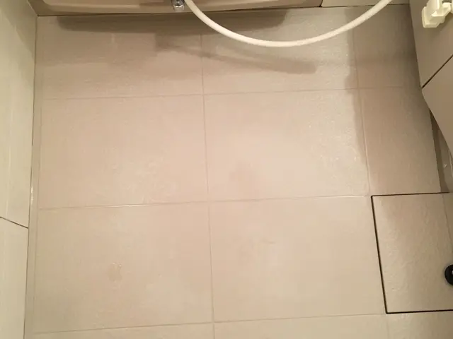 【丁寧な作業をお約束】石鹸カス・水垢等を徹底除去し、明るく気持良い浴室にします！サービスの画像