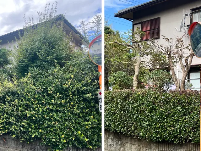 【庭木の剪定】迅速・丁寧な対応！地域密着サービス！サービスの画像