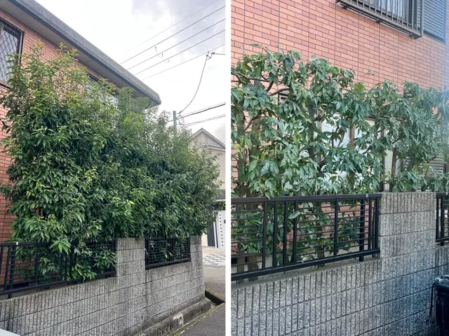 【庭木の剪定】迅速・丁寧な対応！地域密着サービス！サービスの画像