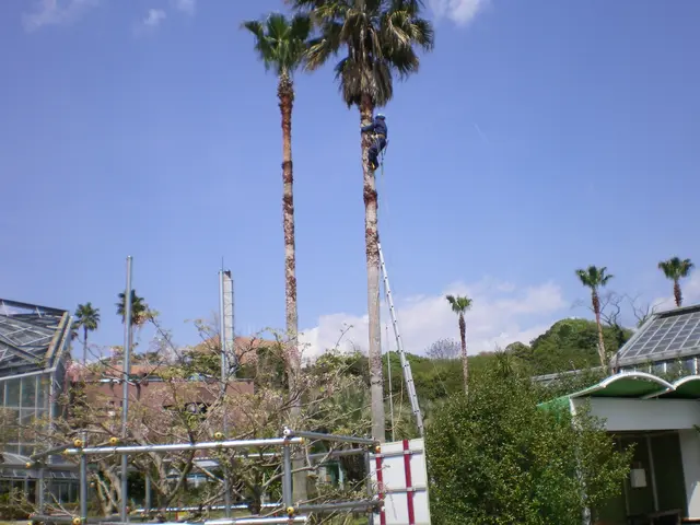 40年間無事故。クレーン付車等、完備サービスの画像