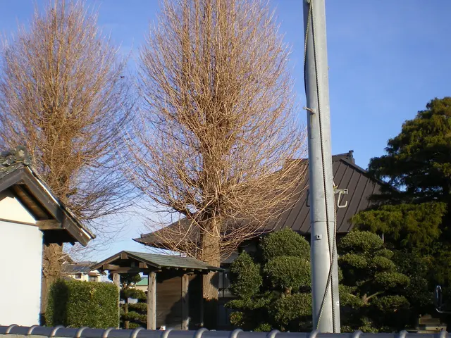 40年間無事故。クレーン付車等、完備サービスの画像