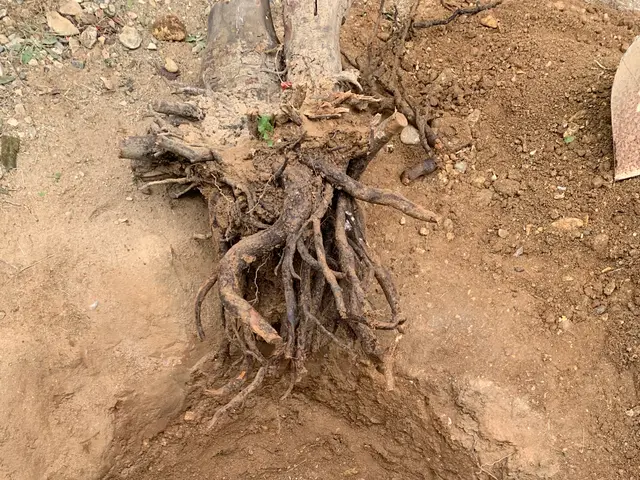 お客様のお力になります！経験と知識を活かして迅速丁寧に作業いたします！サービスの画像