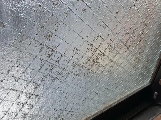 窓、サッシのクリーニングサービスの画像