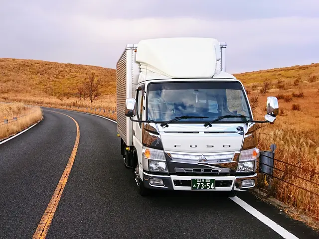 ２ｔトラックで単身者様のお荷物をベテランスタッフ２名が余裕でお運び致します！サービスの画像