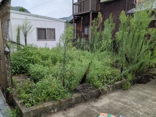 【店長訪問】どんな場所でも基本作業可◎〜まずは予約前にご相談ください！〜サービスの画像