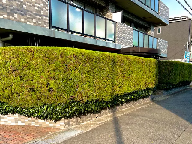 【庭木の冬季剪定】荒れたお庭もスッキリ◎涼の空間と木のぬくもりを◎サービスの画像