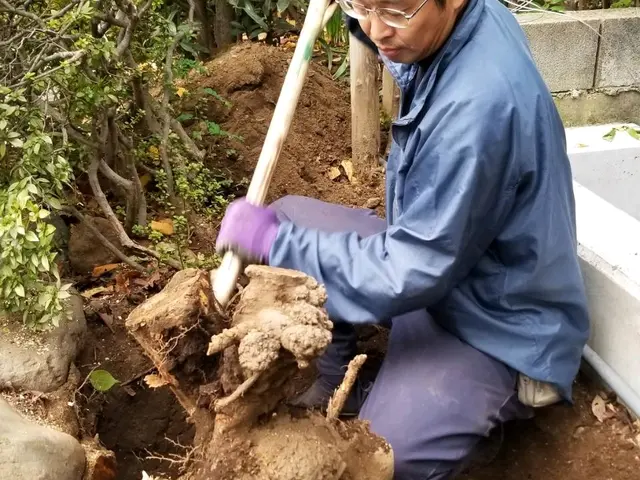 [業歴26年]　伐採、伐根サービスの画像