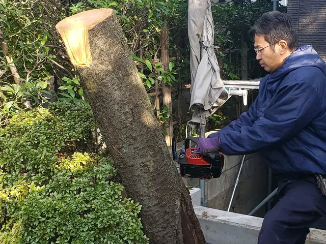 [業歴26年]　伐採、伐根サービスの画像