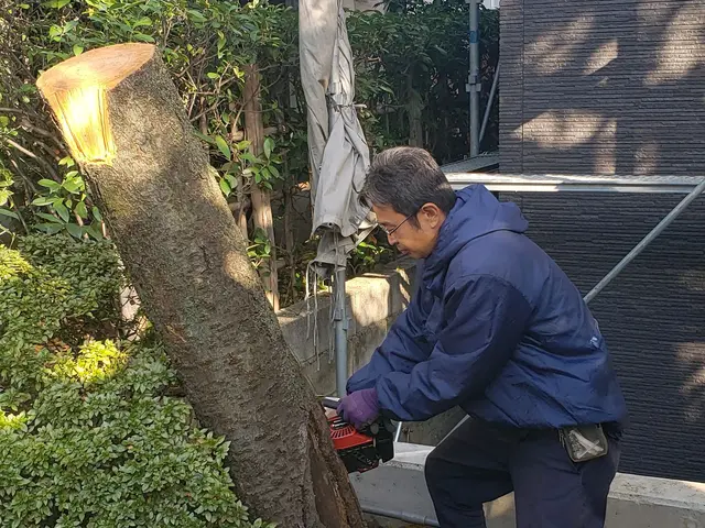 [業歴26年]　伐採、伐根サービスの画像