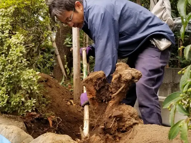 [業歴26年]　伐採、伐根サービスの画像