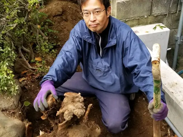 [業歴26年]　伐採、伐根サービスの画像