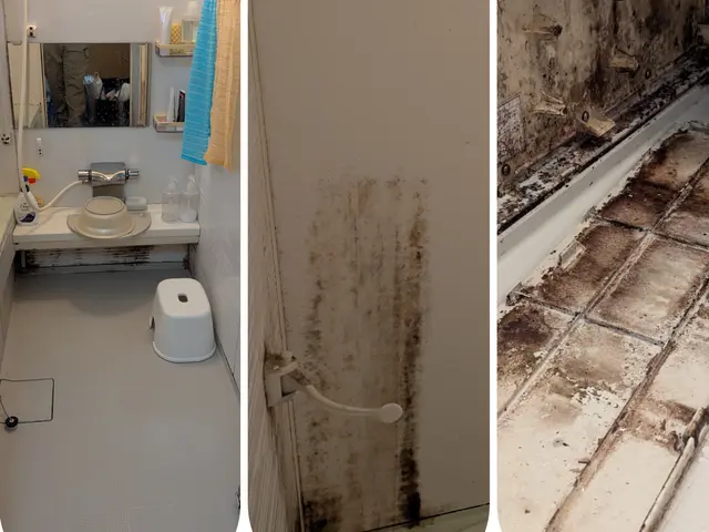 プロのわざでピカピカに！前職の接客コンテスト1位の店長が自信を持ってお届けサービスの画像