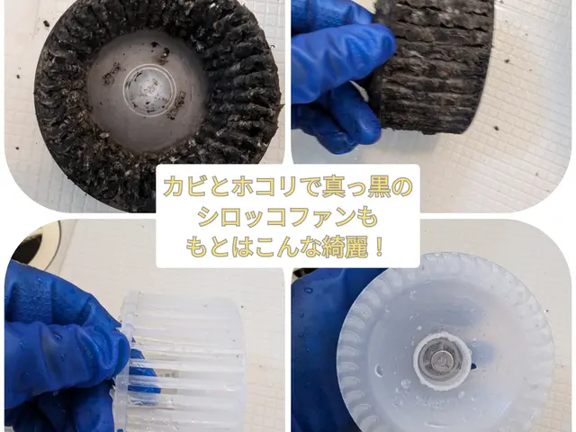 プロのわざでピカピカに！前職の接客コンテスト1位の店長が自信を持ってお届けサービスの画像