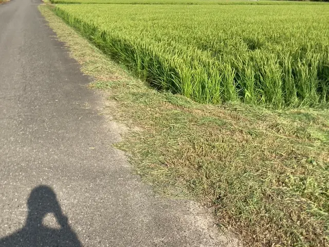 庭木の剪定・伐採・消毒。笑顔と真面目さが取り柄の刈込師。丁寧にお庭を管理します。サービスの画像