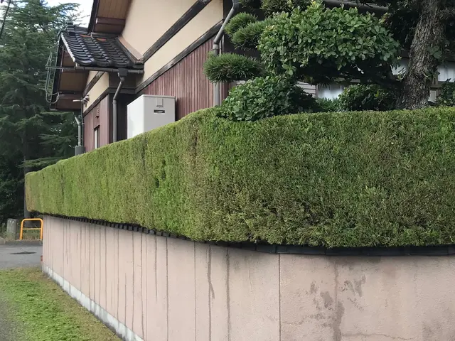 庭木の剪定・伐採・消毒。笑顔と真面目さが取り柄の刈込師。丁寧にお庭を管理します。サービスの画像