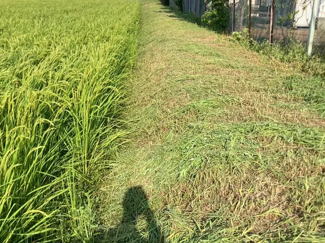 庭木の剪定・伐採・消毒。笑顔と真面目さが取り柄の刈込師。丁寧にお庭を管理します。サービスの画像