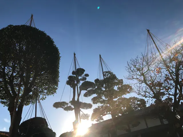 庭木の剪定・伐採・消毒。笑顔と真面目さが取り柄の刈込師。丁寧にお庭を管理します。サービスの画像