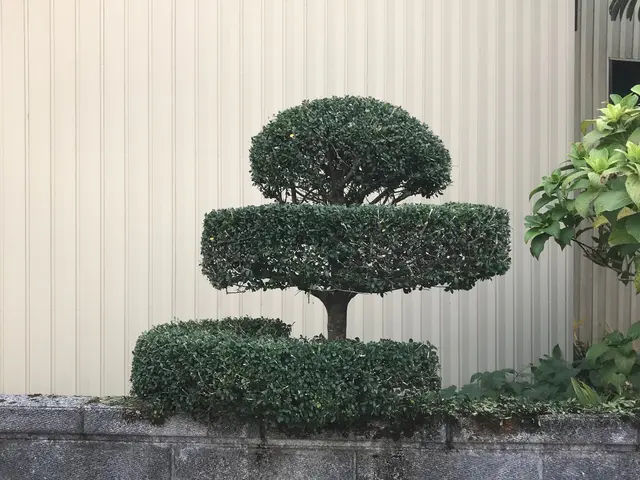 庭木の剪定・伐採・消毒。笑顔と真面目さが取り柄の刈込師。丁寧にお庭を管理します。サービスの画像