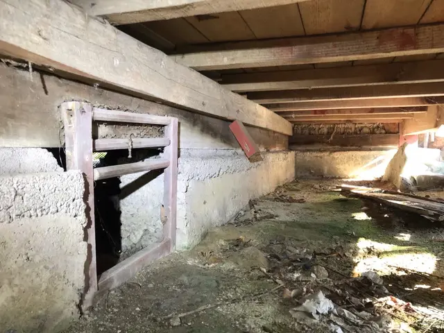 【ネズミ駆除歴11年目】【11年目の実績と自信で作業させていただきます】最短対応サービスの画像