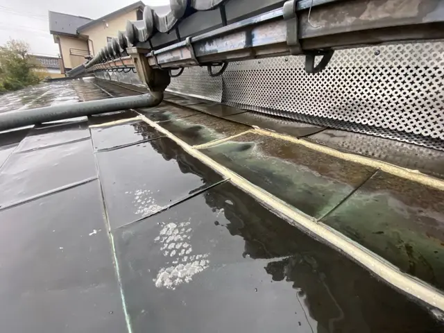 【ネズミ駆除歴11年目】【11年目の実績と自信で作業させていただきます】最短対応サービスの画像