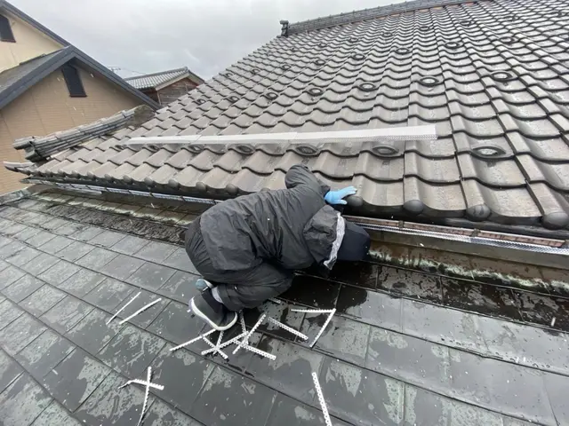 【ネズミ駆除歴11年目】【11年目の実績と自信で作業させていただきます】最短対応サービスの画像