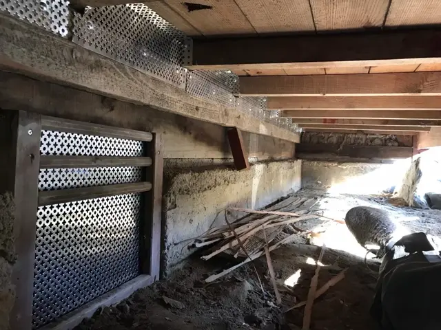 【ネズミ駆除歴11年目】【11年目の実績と自信で作業させていただきます】最短対応サービスの画像