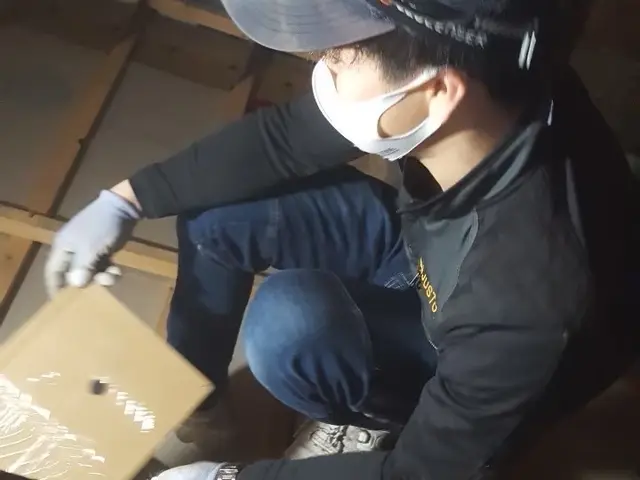 【ネズミ駆除歴11年目】【11年目の実績と自信で作業させていただきます】最短対応サービスの画像