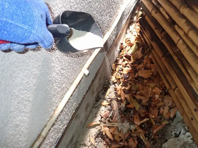 茨木より。粒剤＋液剤の２種類を駆使して床下と建物外周へ薬剤処理を行います。サービスの画像