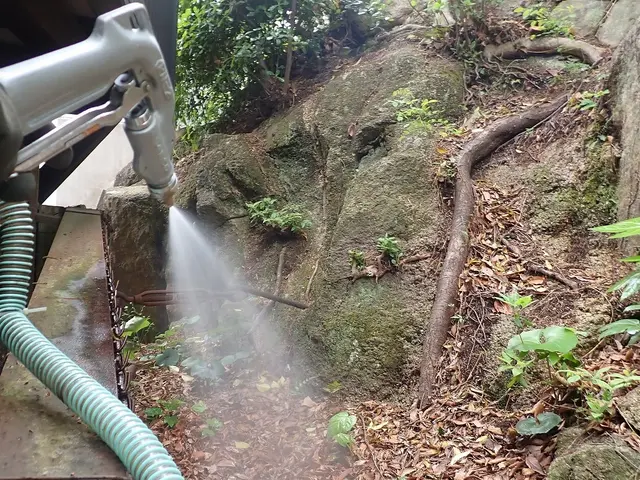 茨木より。粒剤＋液剤の２種類を駆使して床下と建物外周へ薬剤処理を行います。サービスの画像