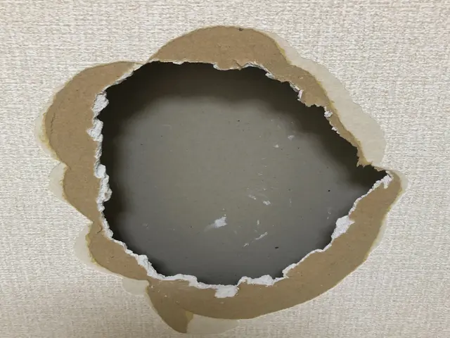 【壁紙業界40年以上】20cm以上の大きな穴も対応可能サービスの画像