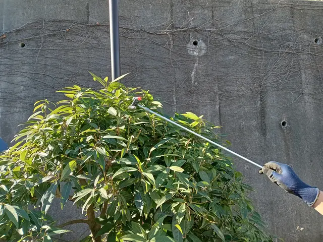 ◎先ずは現地調査させて下さい！庭木１本から対応致します！賠償保険加入済サービスの画像