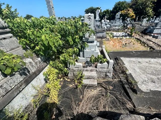 【損害保険加入済】お墓参り代行。心を込めてクリーニングします。お花、線香込みサービスの画像