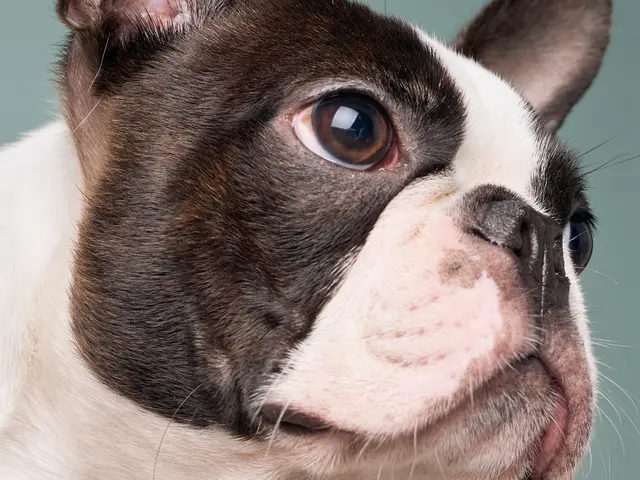 プロの技術でご満足いただけるように心を込めて撮影いたします/全データ付