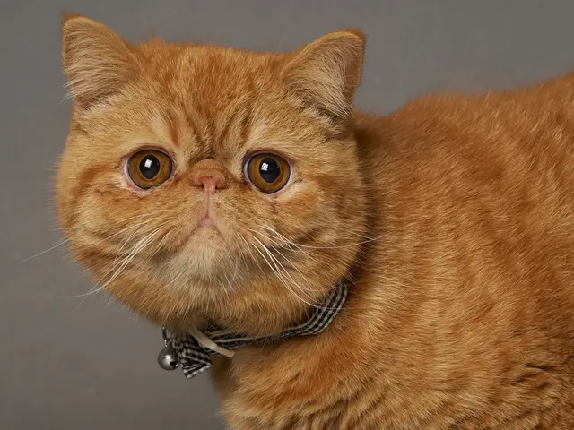 プロの技術でご満足いただけるように心を込めて撮影いたします/全データ付