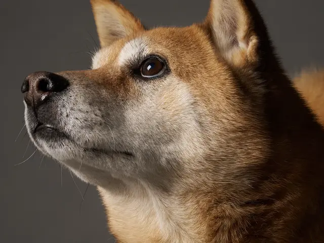 プロの技術でご満足いただけるように心を込めて撮影いたします/全データ付