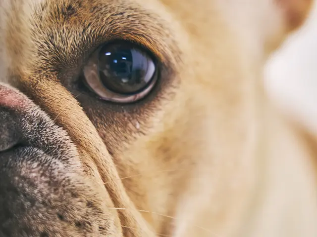 プロの技術でご満足いただけるように心を込めて撮影いたします/全データ付