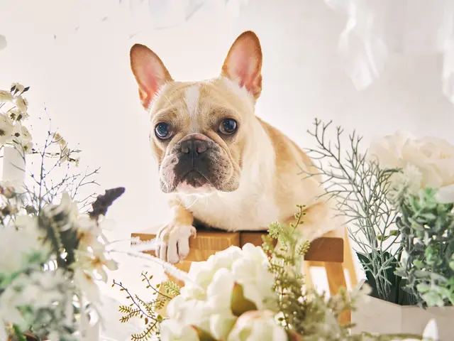 プロの技術でご満足いただけるように心を込めて撮影いたします/全データ付