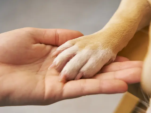 プロの技術でご満足いただけるように心を込めて撮影いたします/全データ付