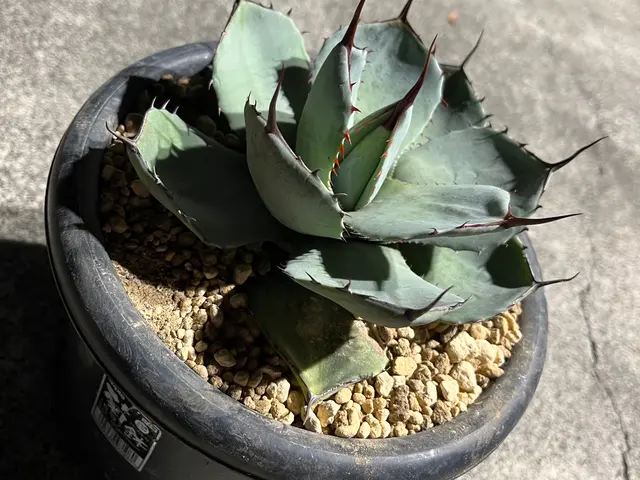 ◎年中無休◎予約から作業まで100%自社対応◎女性スタッフ同行可能サービスの画像