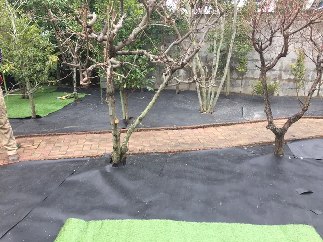 ＜大分県から出向します＞大工10年、造園10年、木が大好きです！なんでも相談OKサービスの画像