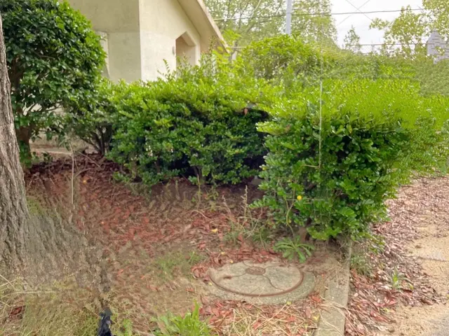 業界歴10年◎月間10件以上の作業確実、女性スタッフ同行可能！サービスの画像